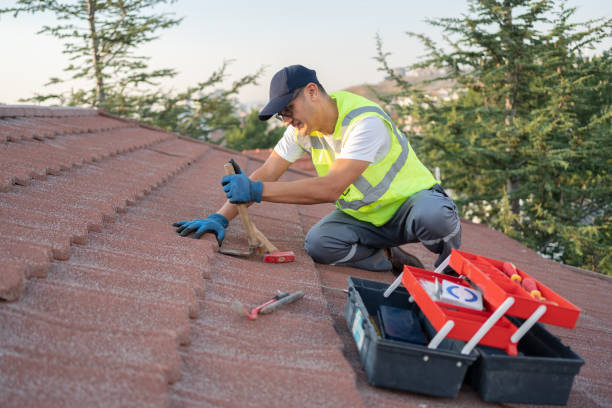 Best Roof Gutter Cleaning  in Parma Heights, OH